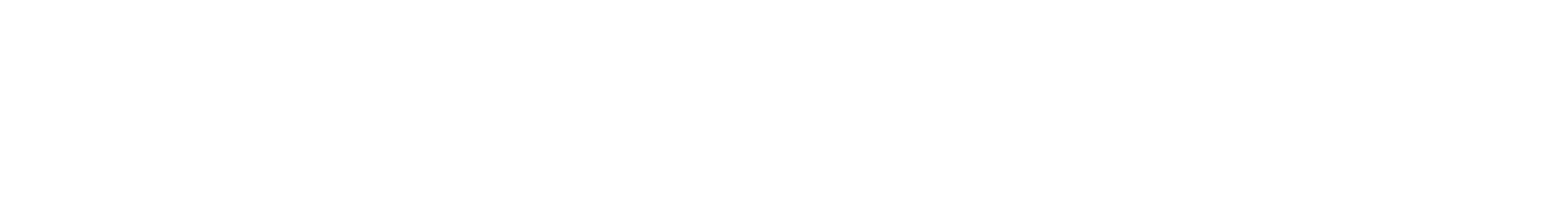 Our Vision