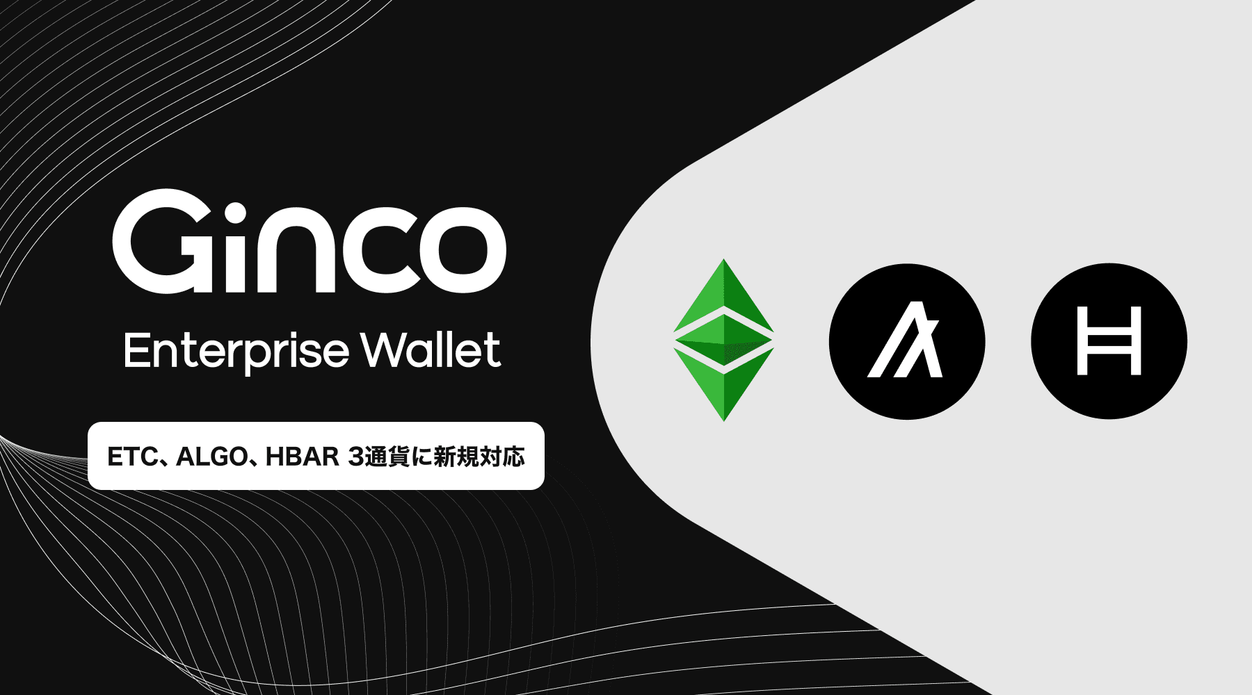 2024.1.26【プレスリリース】 業務用暗号資産ウォレット「Ginco Enterprise Wallet」がイーサリアム・クラシック、アルゴランド、ヘデラに新規対応